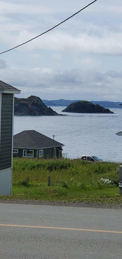 Hillside Cottage 2 Twillingate Exteriér fotografie