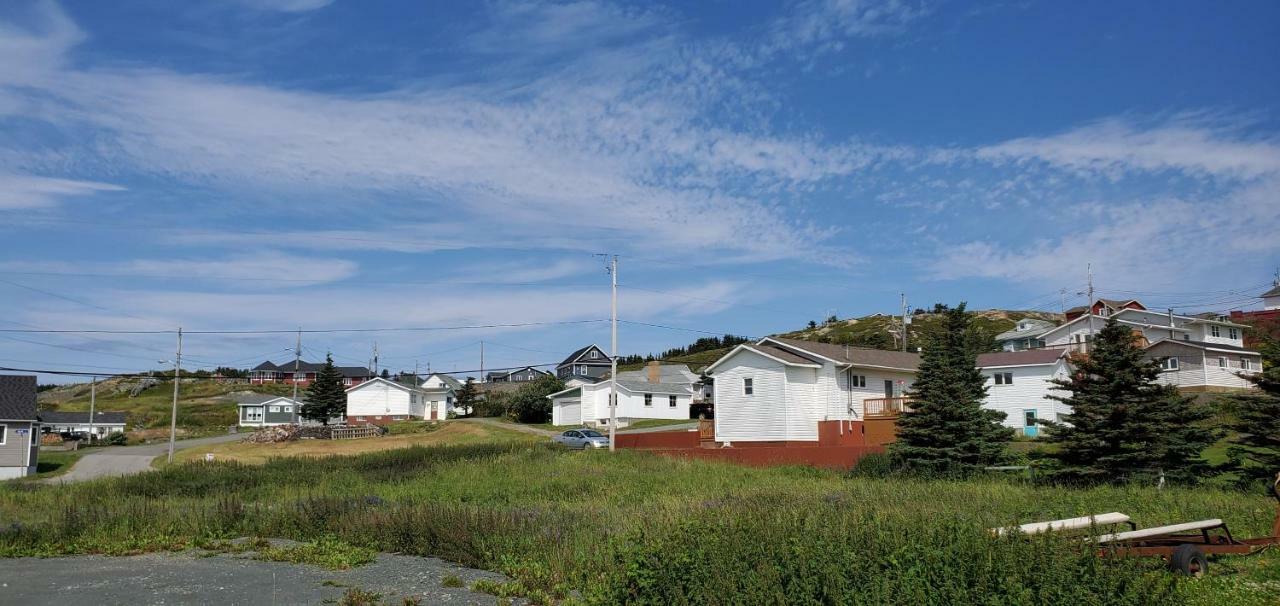 Hillside Cottage 2 Twillingate Exteriér fotografie